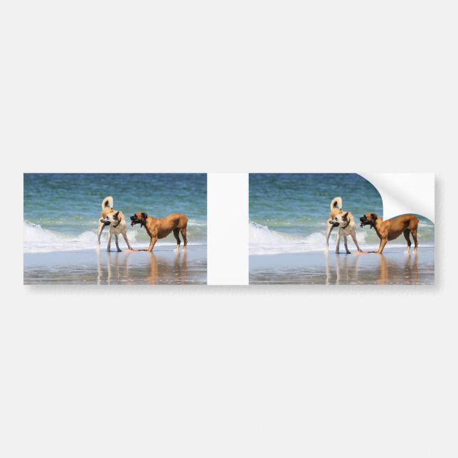 Boxer and Pal - Was that a Dolphin? Bumper Sticker (Front)