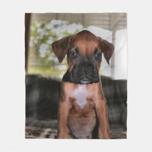 Boxer Baby Fleece Blanket