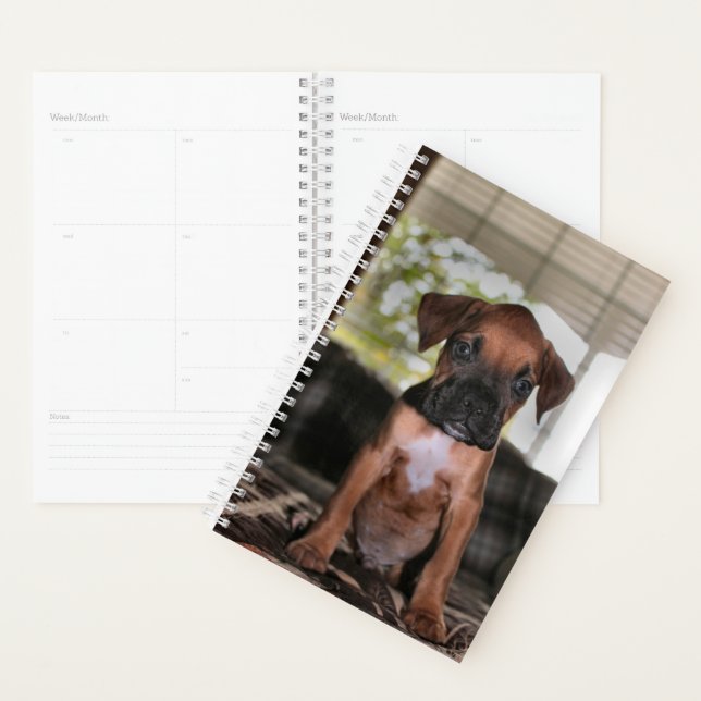 Boxer baby planner (Display)