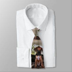 Boxer Baby Tie
