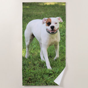 Boxer  beach towel