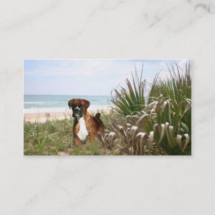 Boxer Breeder Business Card