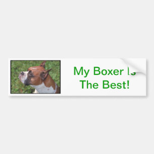 Boxer Bumper Sticker