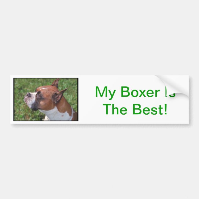 Boxer Bumper Sticker (Front)