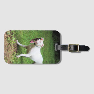 Boxer business card case luggage tag
