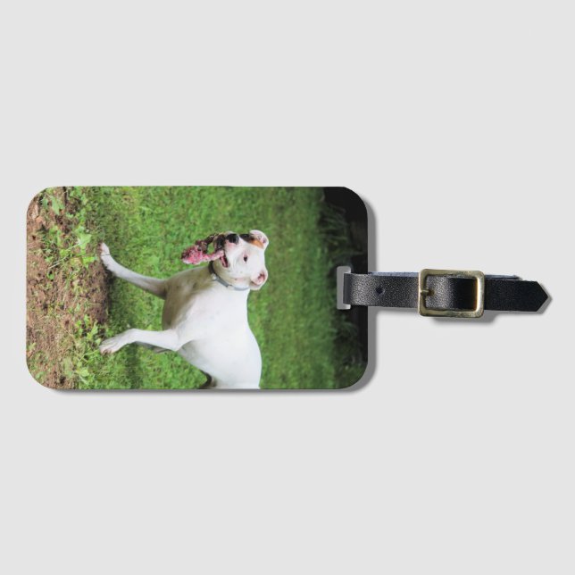 Boxer   business card case luggage tag (Front Horizontal)
