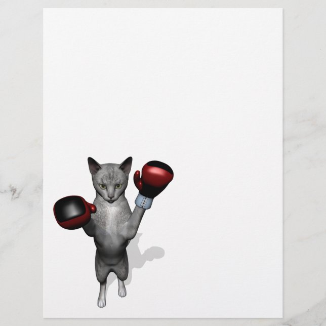 Boxer Cat (Front)