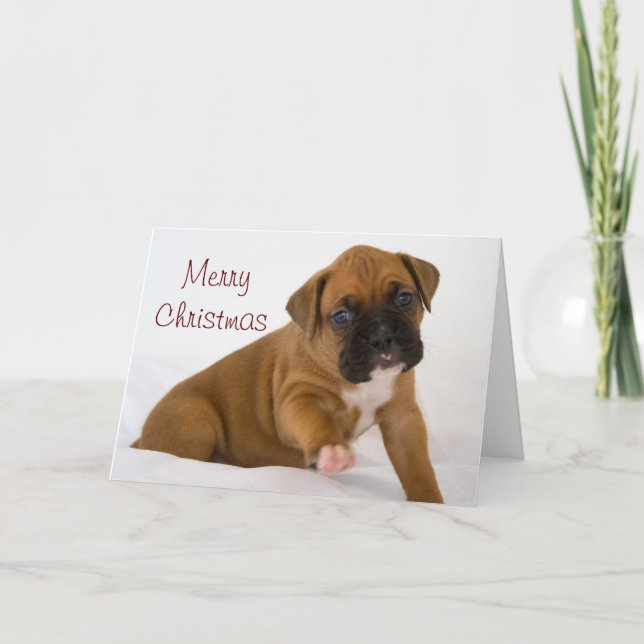 Boxer Christmas Card (Front)