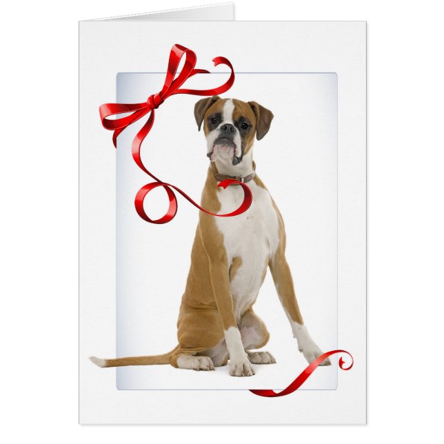 Boxer Christmas Card (Front)