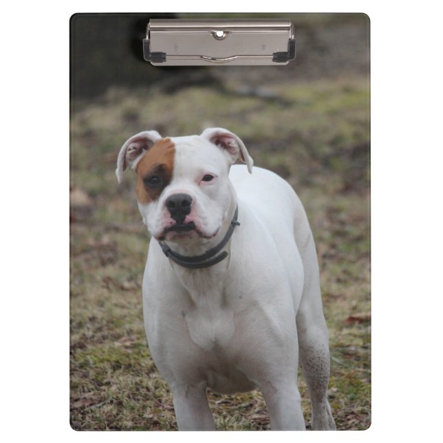 Boxer    clipboard (Front)