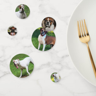 Boxer Confetti