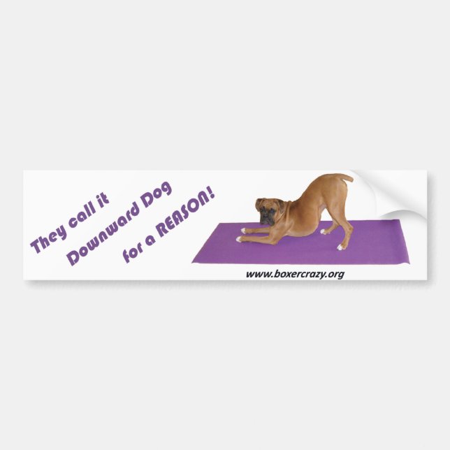 Boxer Crazy Bumpersticker - Yoga Bumper Sticker (Front)