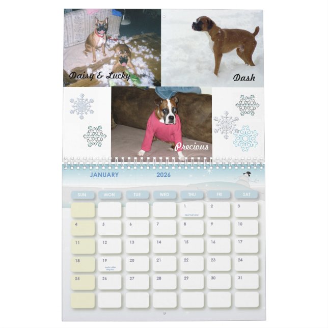 Boxer Crazy Calendar 2011 (Jan 2026)