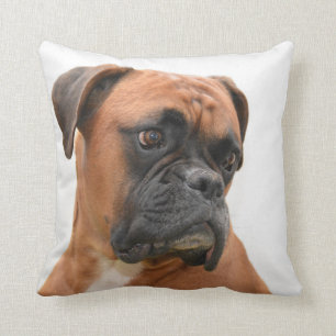 boxer cushion