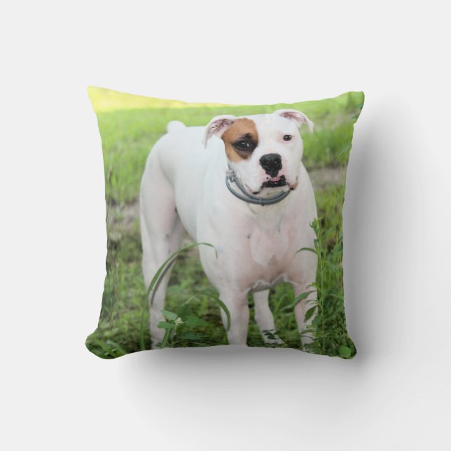 Boxer Cushion (Front)