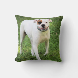 Boxer  cushion