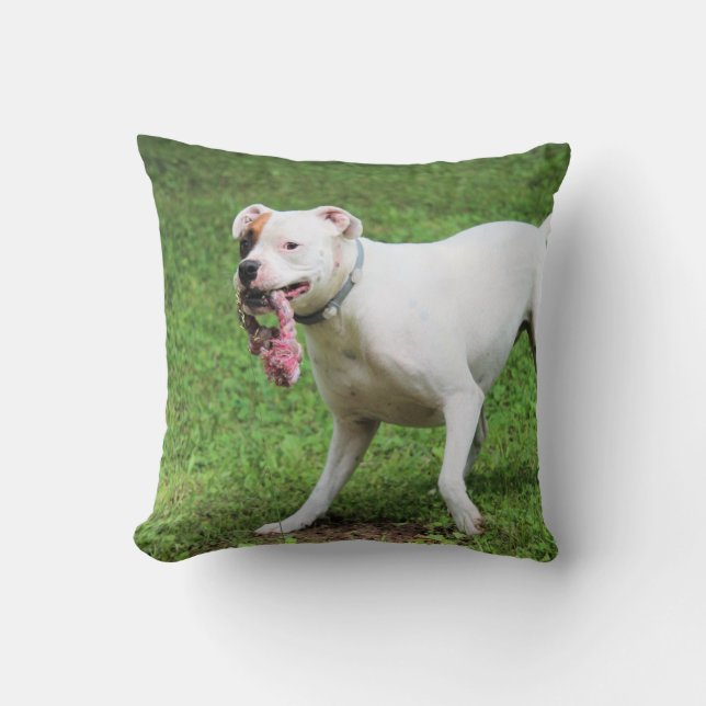 Boxer Cushion (Front)