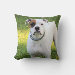 Boxer Cushion