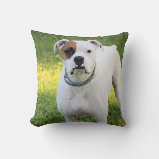 Boxer Cushion (Front)