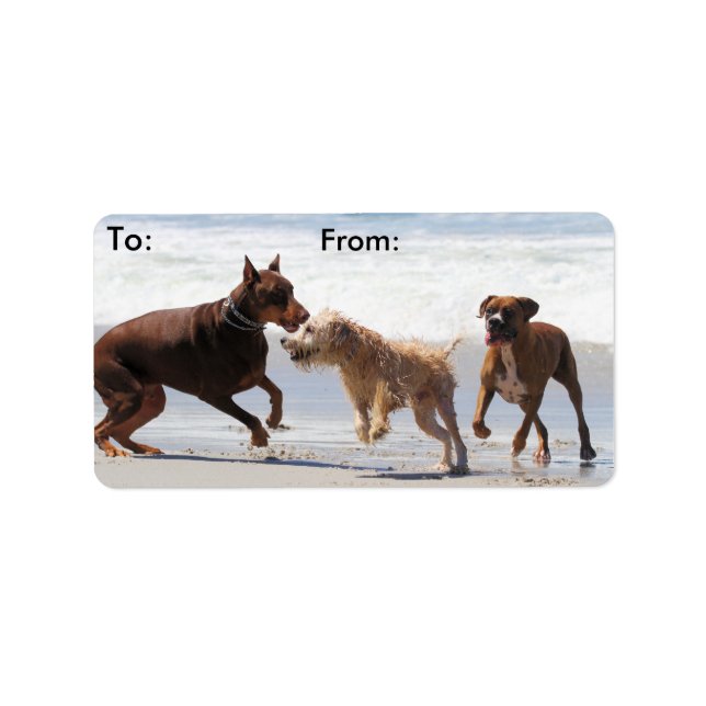 Boxer Doberman - Play Date at the Beach Label (Front)
