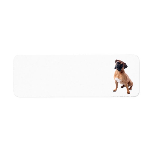 Boxer Dog 2 (Front)