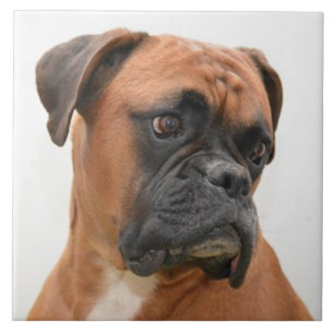 BOXER DOG 3, Pet Love, Best Friend KEEPSAKE Tile