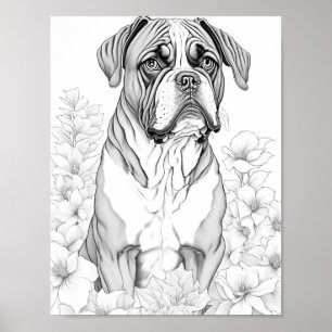 Boxer Dog Adult Colouring Poster