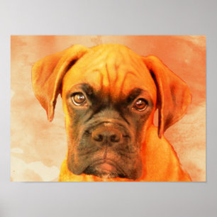 Boxer Dog art poster