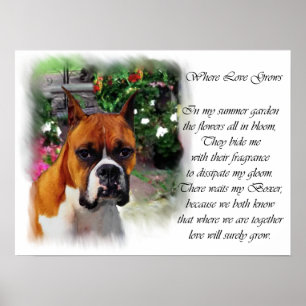 Boxer Dog Art Print