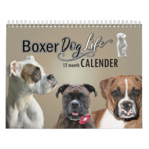 Boxer Dog Calendar, 12 Months of a Boxer Dogs Life Calendar