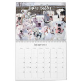 Boxer Dog Calendar, 12 Months of a Boxer Dogs Life Calendar (Jan 2025)