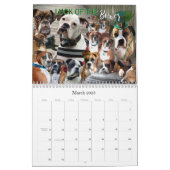 Boxer Dog Calendar, 12 Months of a Boxer Dogs Life Calendar (Mar 2025)