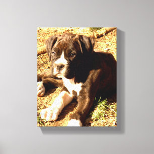 boxer dog canvas print
