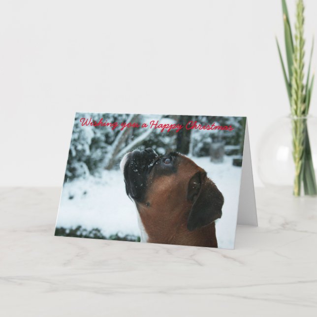boxer Dog Christmas Card (Front)