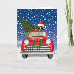 Boxer Dog Driving Car In Snow Christmas  Invitation