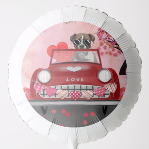 Boxer Dog Driving Car with Hearts Valentine's  Balloon