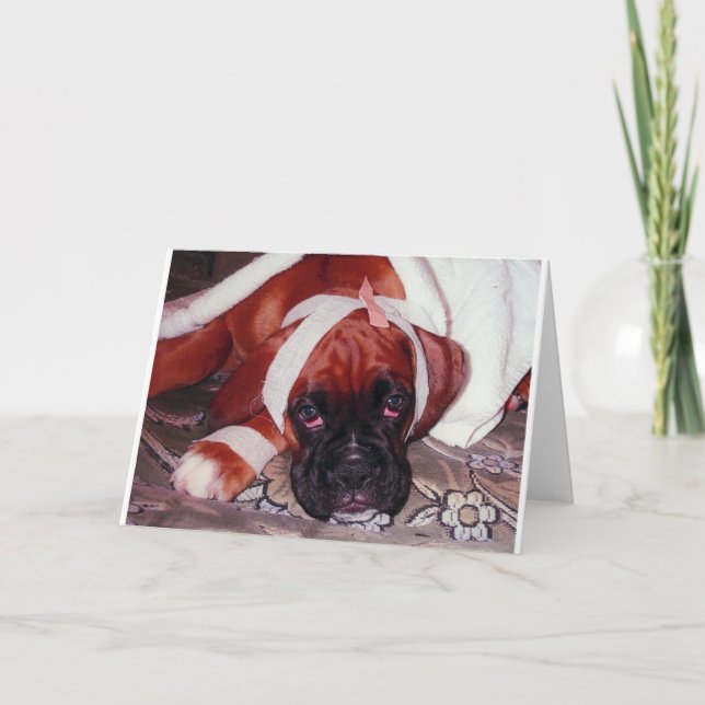 Boxer Dog 'Get Well Soon' Card (Front)