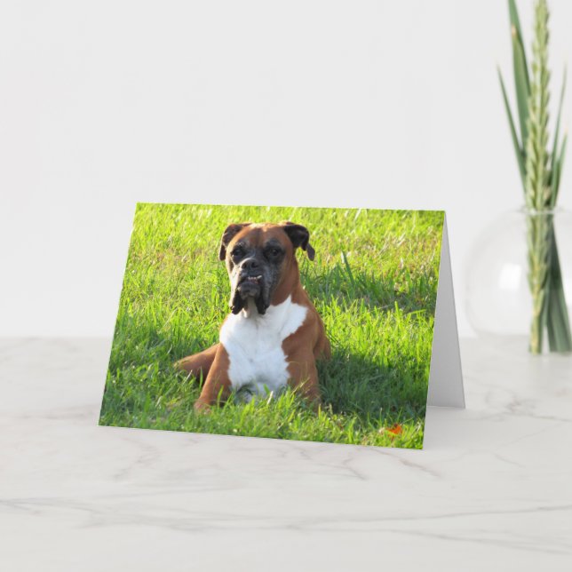 Boxer Dog Greeting Card (Front)