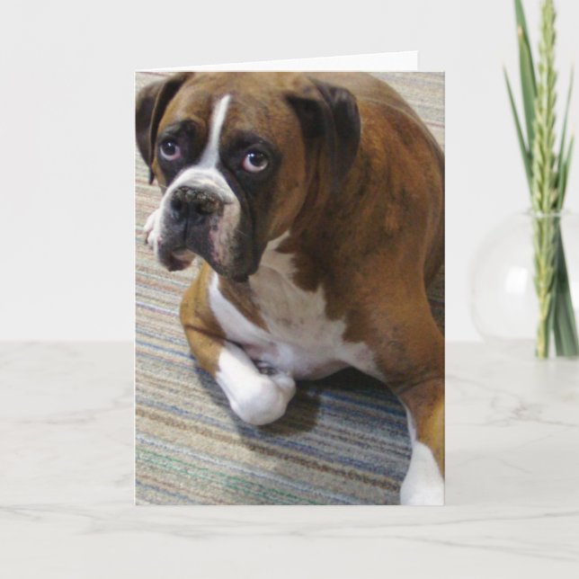 Boxer Dog Greeting Card (Front)