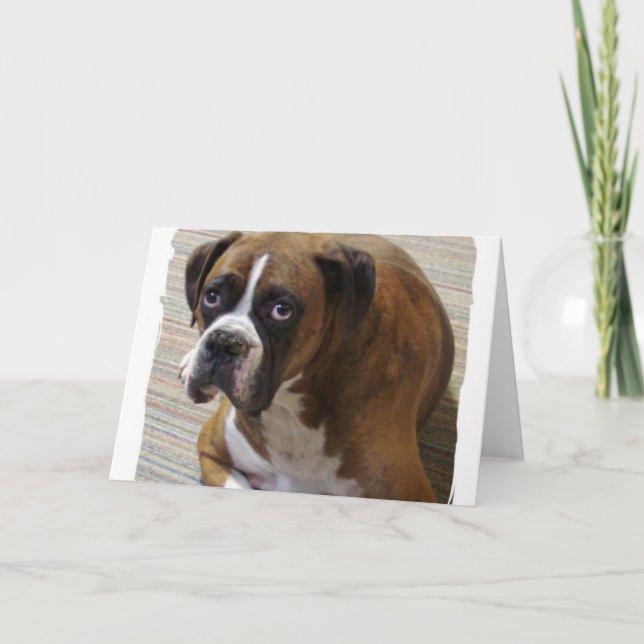 Boxer Dog Greeting Card (Front)