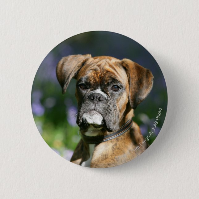 Boxer Dog Headshot 6 Cm Round Badge (Front)