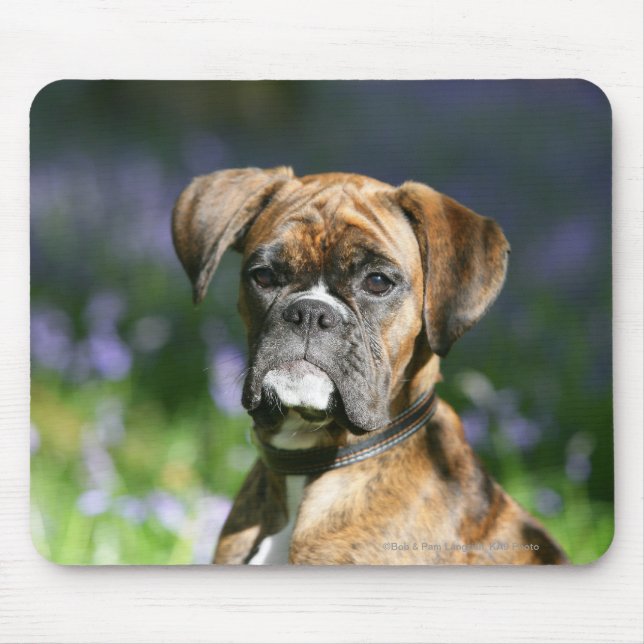 Boxer Dog Headshot Mouse Mat (Front)