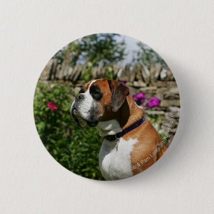 Boxer Dog in the Flowers 6 Cm Round Badge