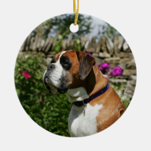 Boxer Dog in the Flowers Ceramic Tree Decoration