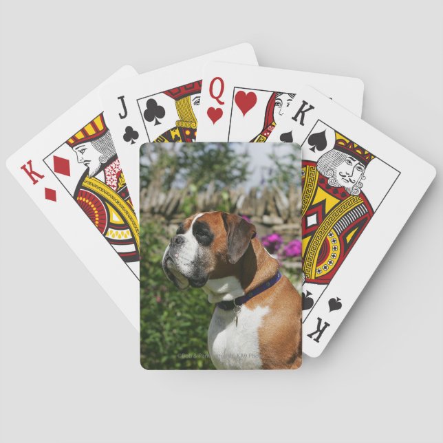 Boxer Dog in the Flowers Playing Cards (Back)