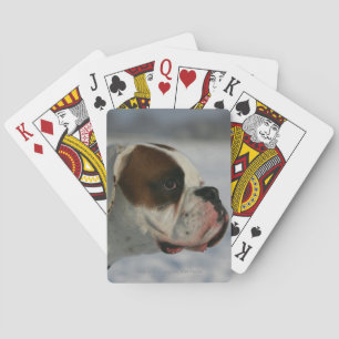 Boxer Dog in the Snow Playing Cards