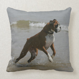 Boxer Dog in Water Cushion