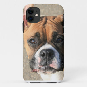 Boxer dog iPhone 5 Barely There Universal Case