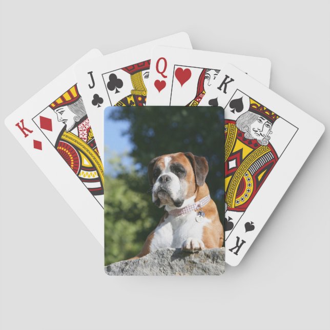 Boxer Dog Laying on a Rock Playing Cards (Back)