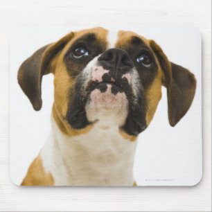 Boxer dog looking up mouse mat